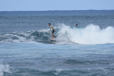 DSC_8495.JPG
