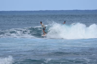 DSC_8496.JPG
