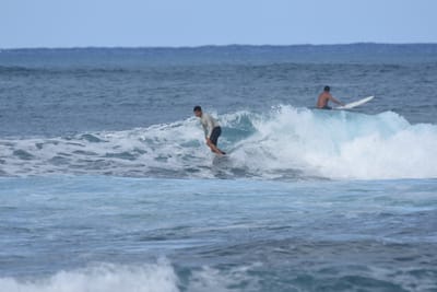 DSC_8498.JPG