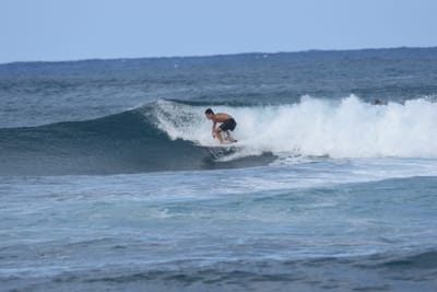 DSC_8499.JPG