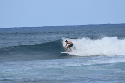 DSC_8501.JPG