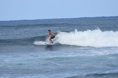 DSC_8502.JPG
