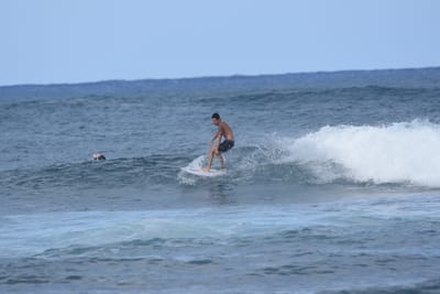 DSC_8507.JPG