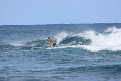 DSC_8517.JPG