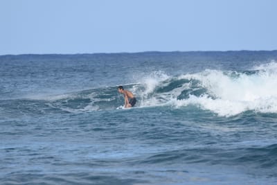 DSC_8518.JPG
