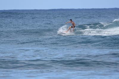 DSC_8519.JPG