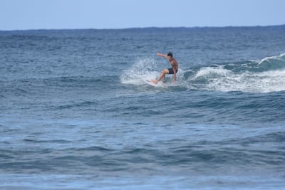DSC_8520.JPG