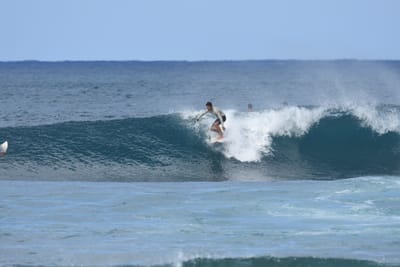DSC_8526.JPG