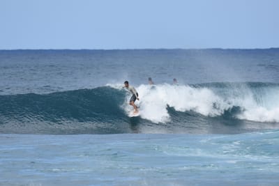 DSC_8527.JPG