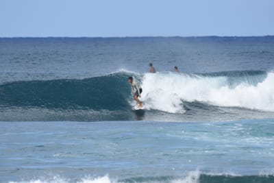 DSC_8528.JPG