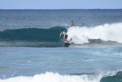 DSC_8529.JPG