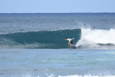 DSC_8531.JPG