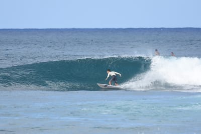 DSC_8533.JPG