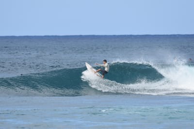 DSC_8536.JPG