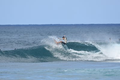 DSC_8537.JPG