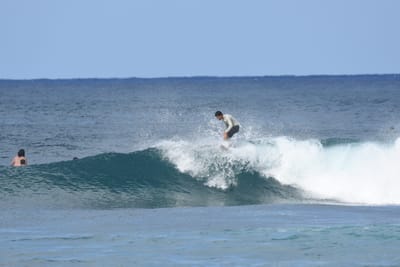 DSC_8541.JPG