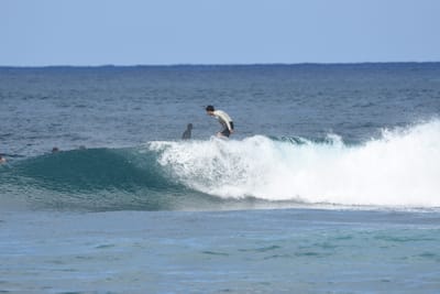 DSC_8543.JPG