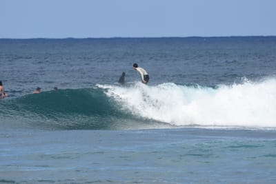 DSC_8544.JPG