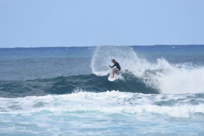 DSC_8549.JPG