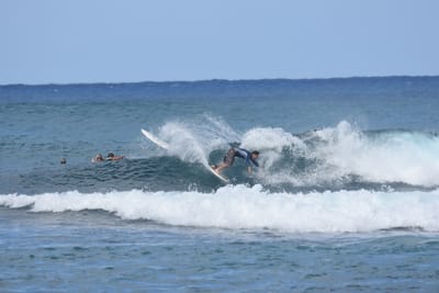 DSC_8550.JPG