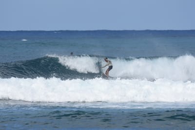 DSC_8552.JPG