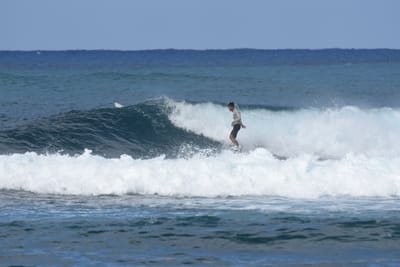 DSC_8553.JPG