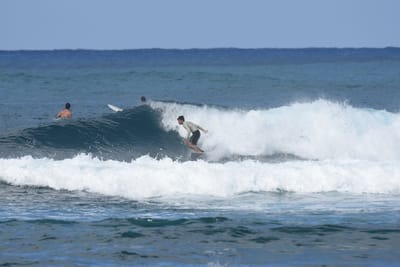 DSC_8554.JPG