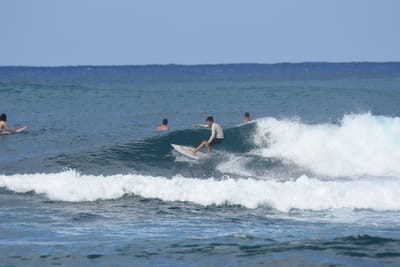 DSC_8555.JPG