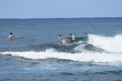 DSC_8556.JPG