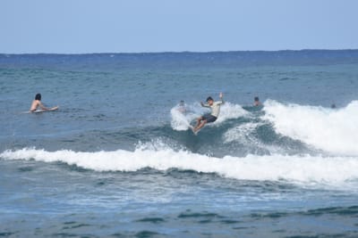 DSC_8557.JPG