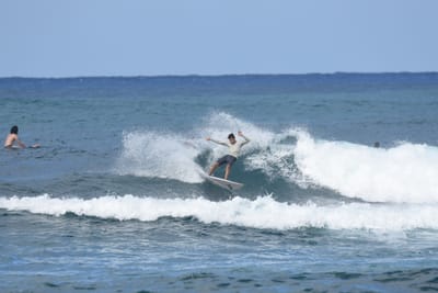 DSC_8559.JPG
