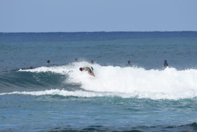 DSC_8563.JPG