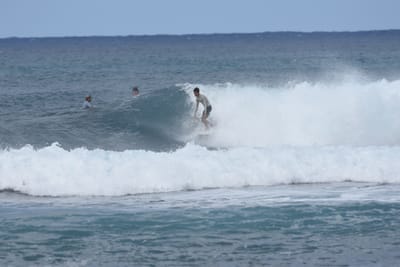 DSC_8566.JPG
