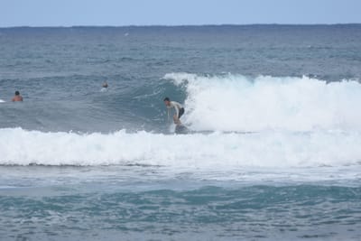 DSC_8568.JPG