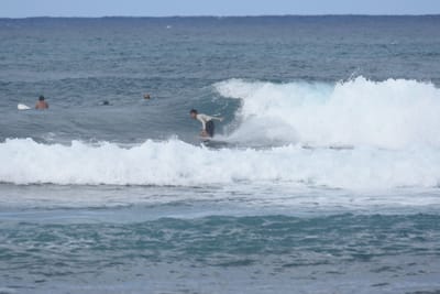 DSC_8569.JPG