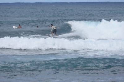 DSC_8570.JPG