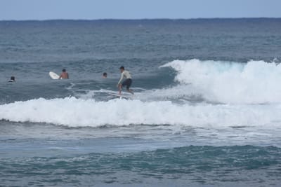 DSC_8571.JPG