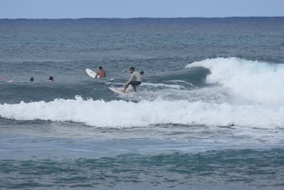 DSC_8572.JPG