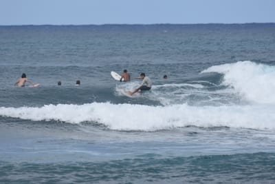 DSC_8573.JPG