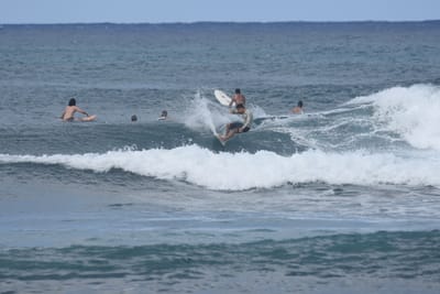 DSC_8574.JPG