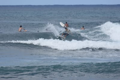 DSC_8575.JPG