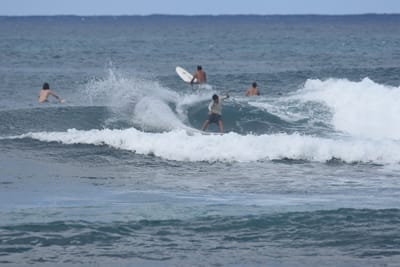 DSC_8577.JPG