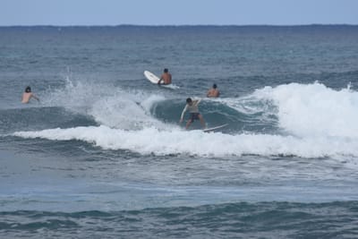 DSC_8578.JPG