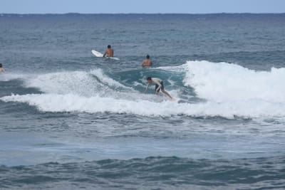 DSC_8580.JPG