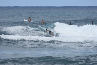 DSC_8581.JPG