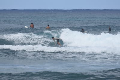 DSC_8582.JPG