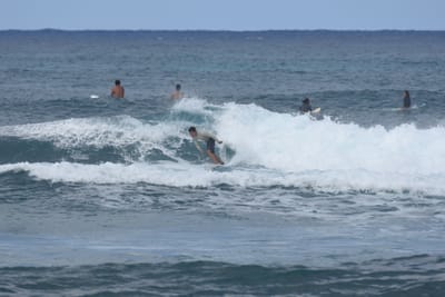 DSC_8583.JPG