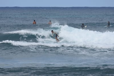 DSC_8584.JPG