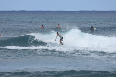 DSC_8585.JPG
