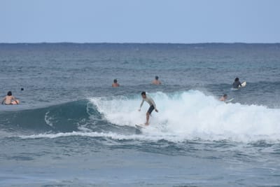 DSC_8586.JPG